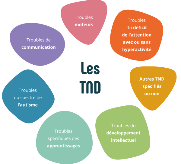 Les troubles du neuro développement